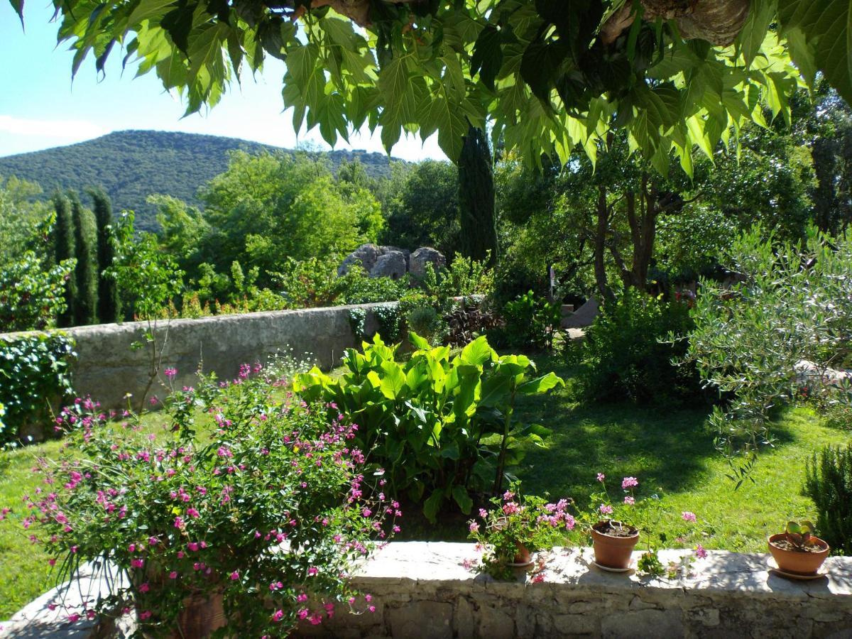 Logis Des Magnans - Le Murier - Sauve Exterior photo